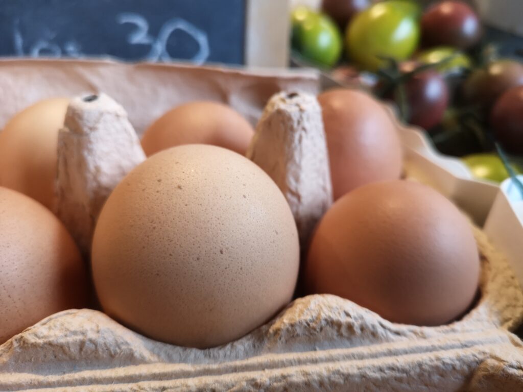 IMG 20210731 082809 1024x768