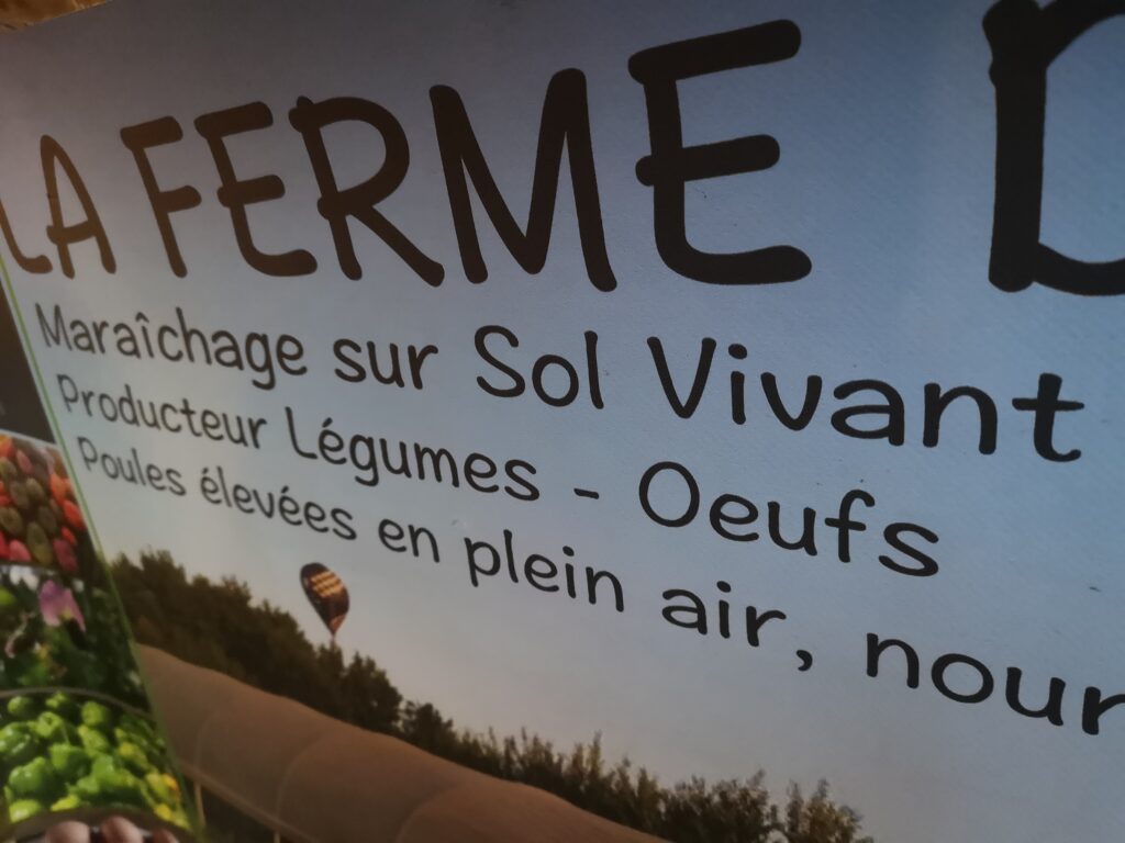 IMG 20210918 083629 1024x768