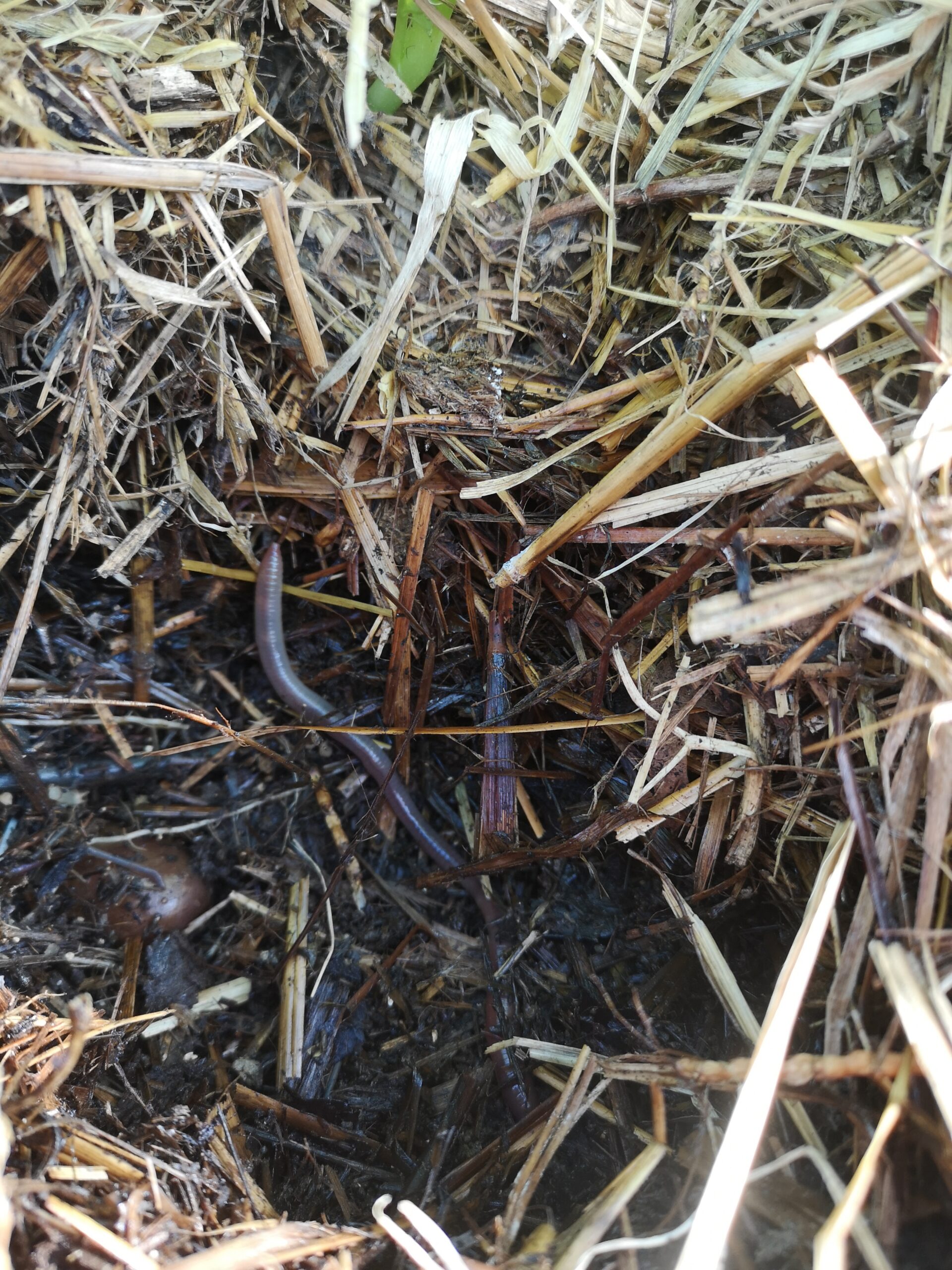 team-01 IMG 20220226 153830 Scaled