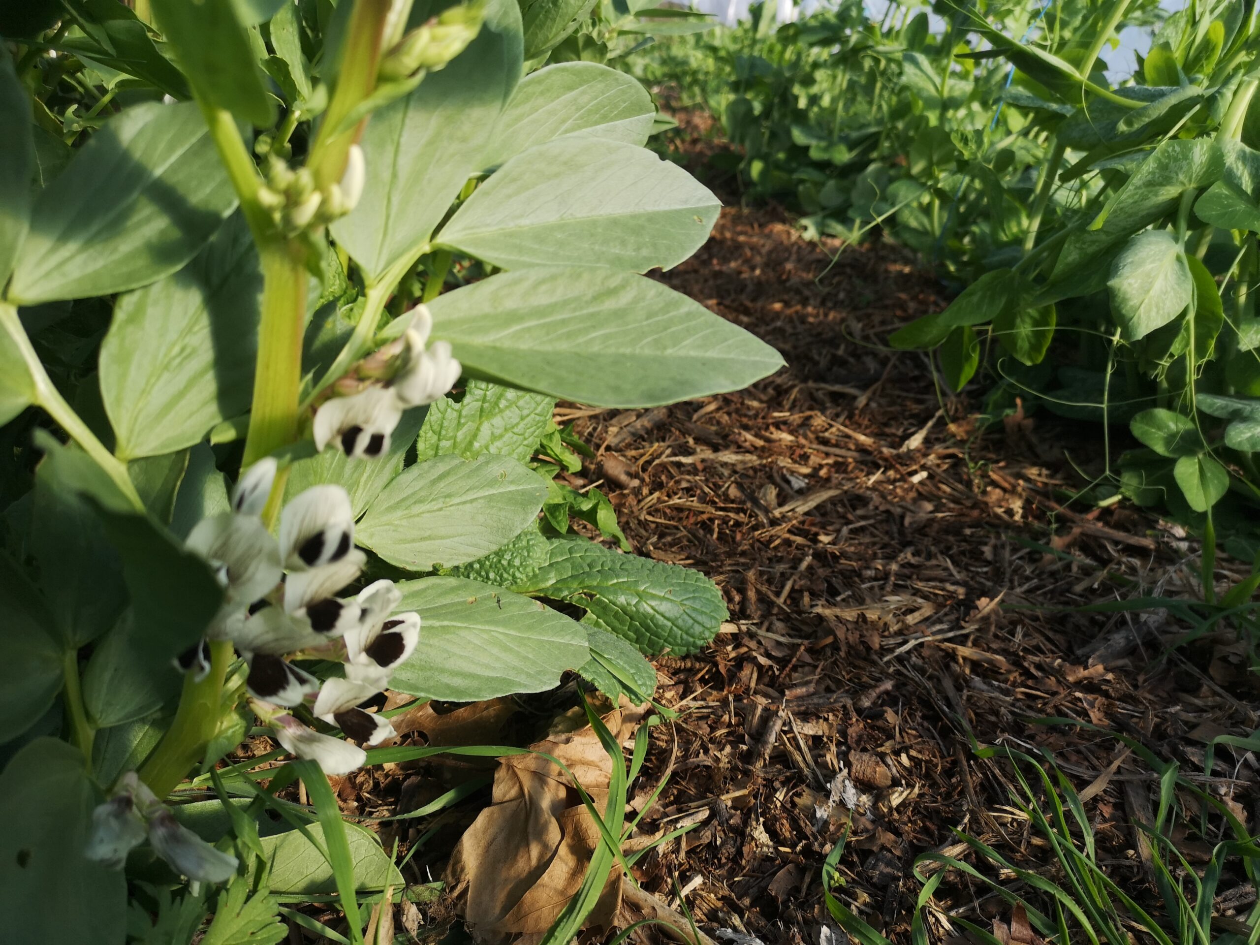 who-we-are IMG 20220226 154006 Scaled