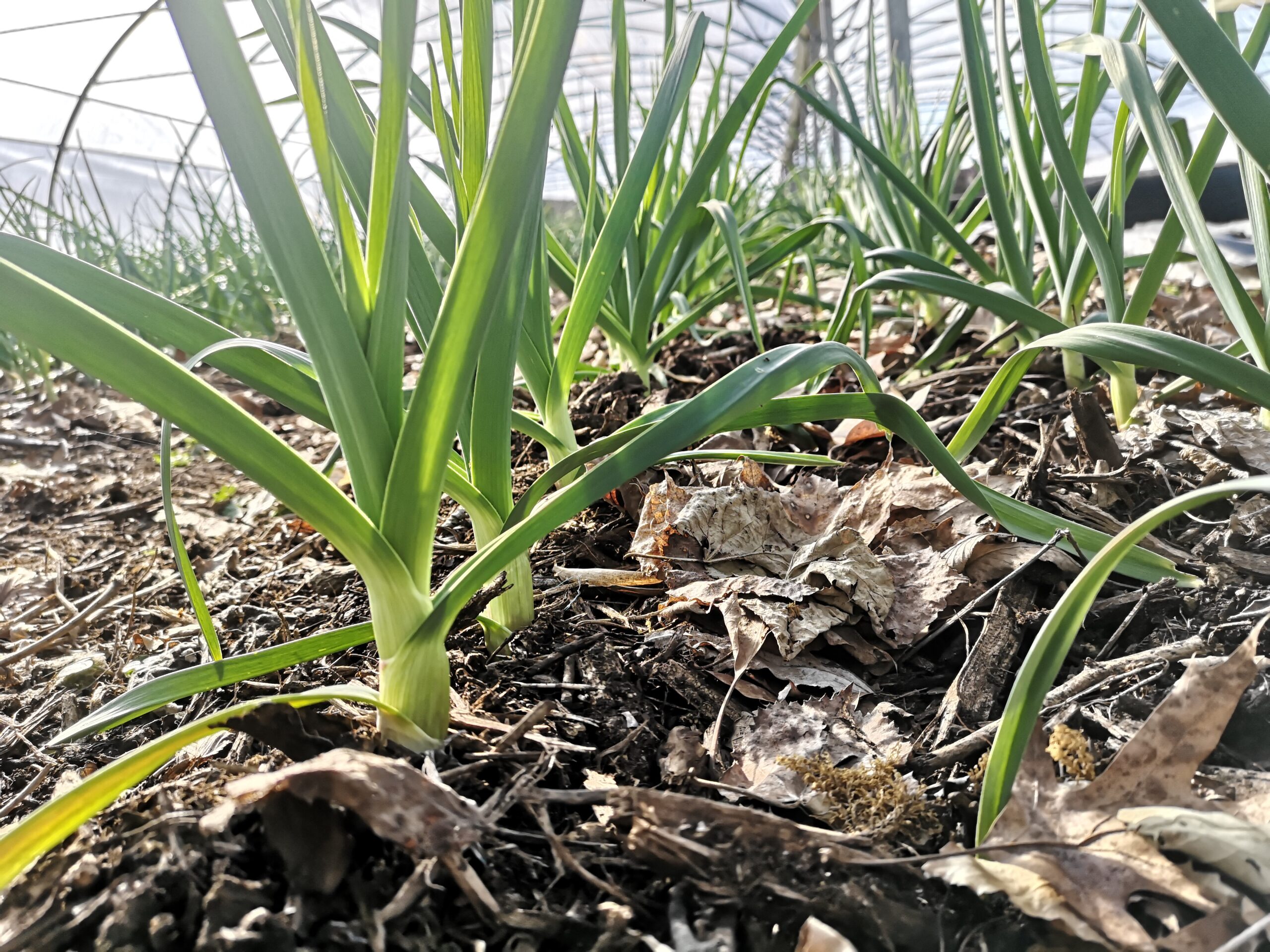 IMG 20220226 154709 Scaled