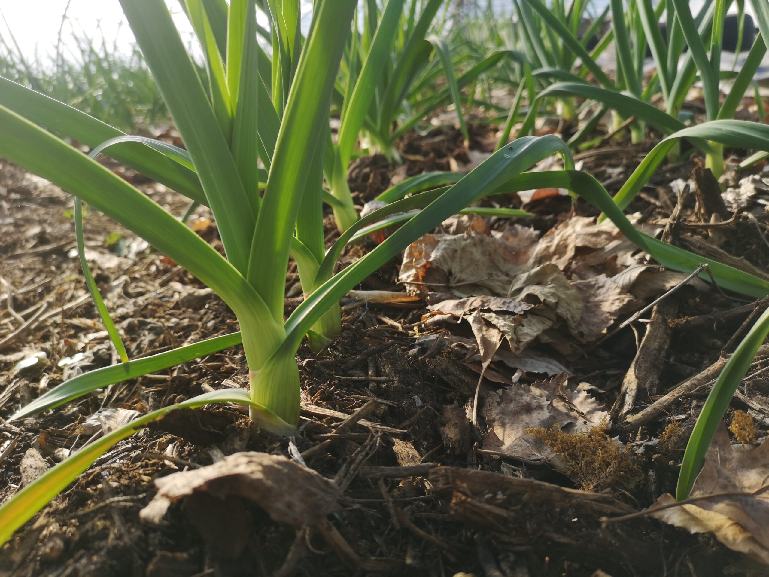 IMG 20220226 154905 Scaled