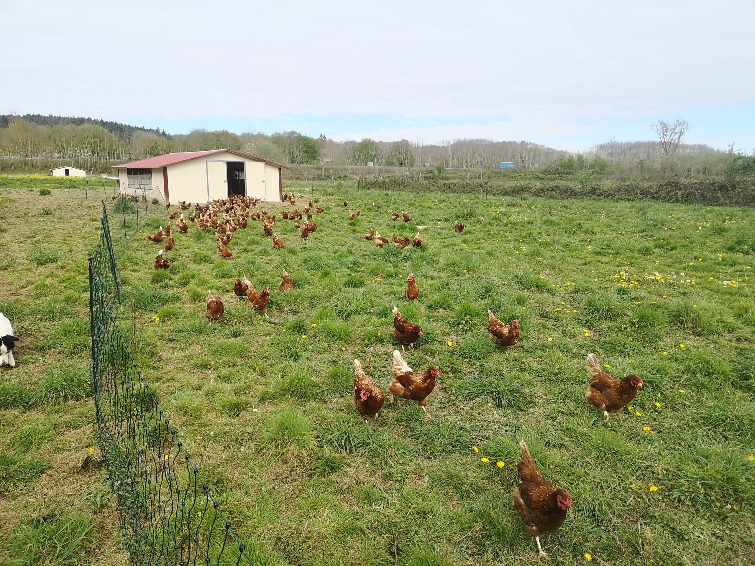 IMG 20230406 104740 Scaled