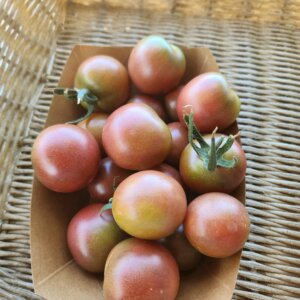 barquette tomates cerises